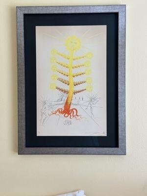 Framing of Central Florida