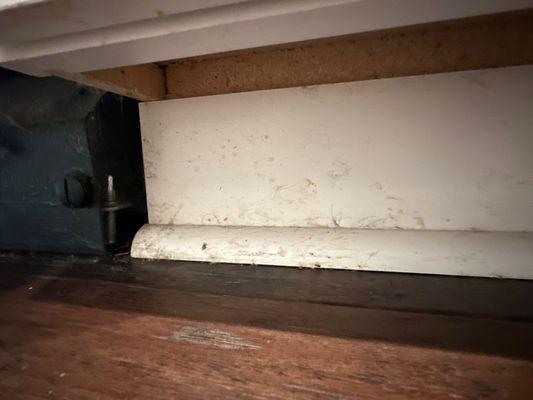 Molly Maid of S Davidson, Williamson & Maury