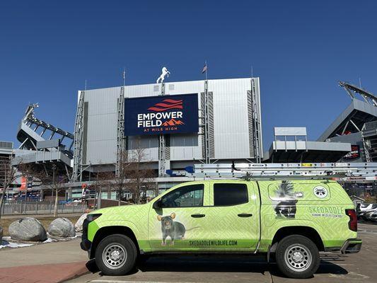 Skedaddle Humane Wildlife Control