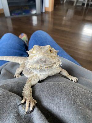 Off the Hook Exotics