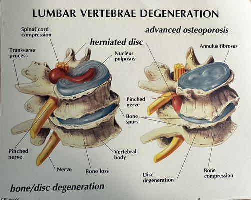 Virginia Family Chiropractic & Physical Medicine