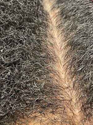 Create An Image Hair Art