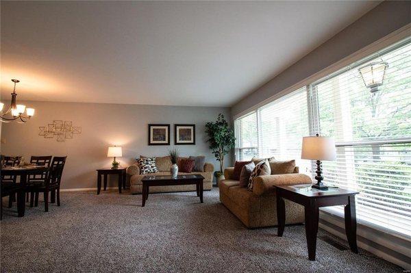 Elite Interior Paint