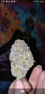 Top notch hand of God from my favorite dispo and favorite budtenders