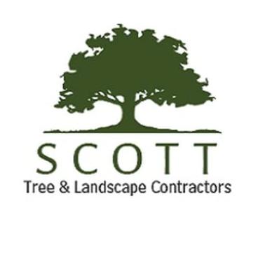 Scott Tree