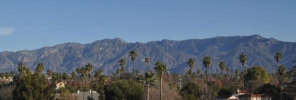 View from the office!