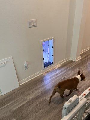 Inside, goes out to the far side of the house.