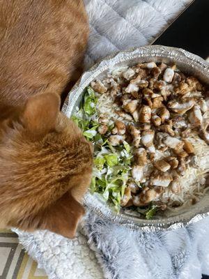 Chicken over rice