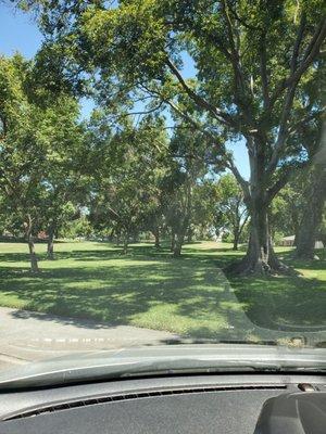 Davis Community Park