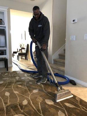 The Thomas Extractors Carpet & House Cleaning