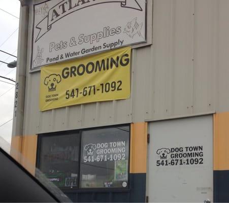 Dog Town Grooming