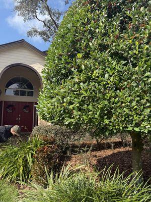 Gerald Sperling Landscaping