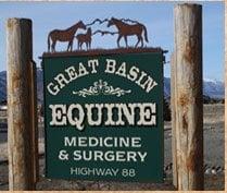 Great Basin Equine Medicine & Surgery
