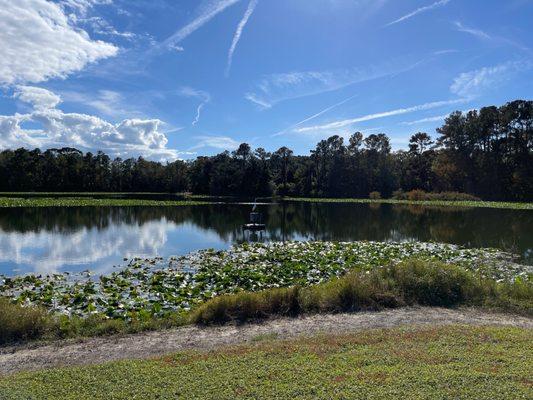 Saint Augustine Fish Management Area