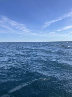 Chippewa Middle School