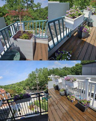 Steven's Landscaping Pro Service