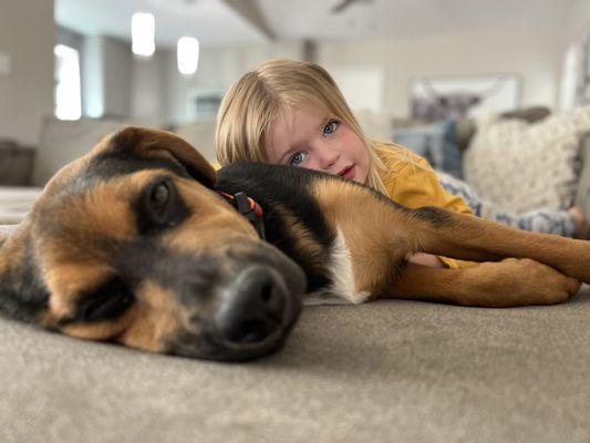 Adopt a Friend Forever Rescue