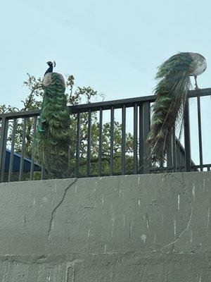 Marin Recycling Center