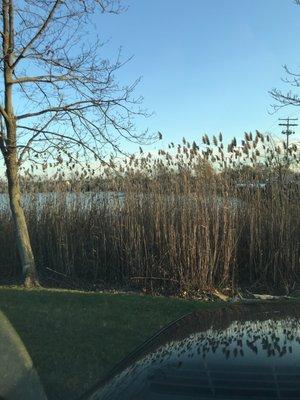 Parker Creek Veterinary Hospital