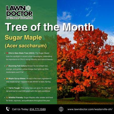Tree of the Month
Learn More: https://www.lawndoctor.com/westerville-oh