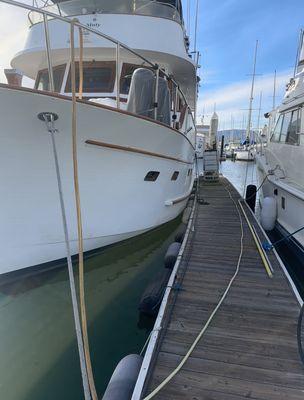 Diver Down Hull Management