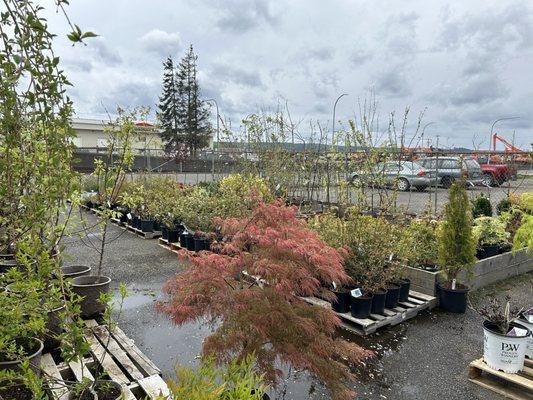 Marshall's Garden & Pet Ltd