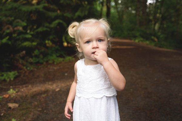 Wild Rose Photography