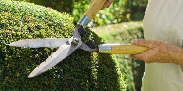 Oly Landscape Construction