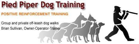 Pied Piper Dog Training