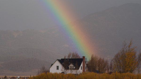 Adrienne Donovan Real Estate