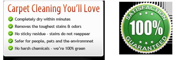 Dry In 20 Organic Carpet Cleaning