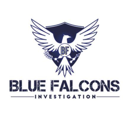Blue Falcons Investigation