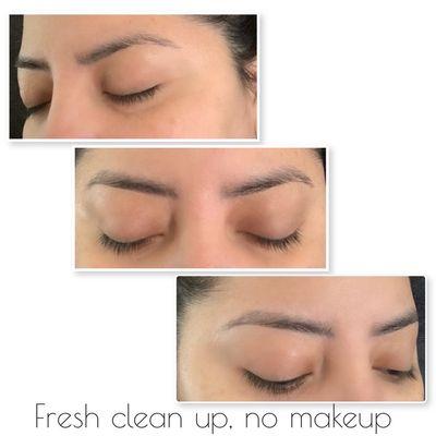Freshly Brow wax brows