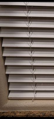 Cobalt Cleaning Service - Las Vegas