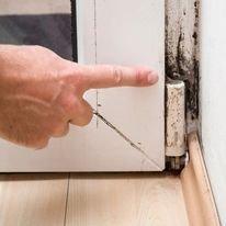 Canton Mold Inspection