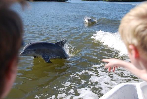 Everglades Backcountry Experience