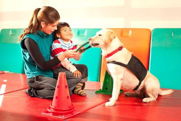 One Care Home Care