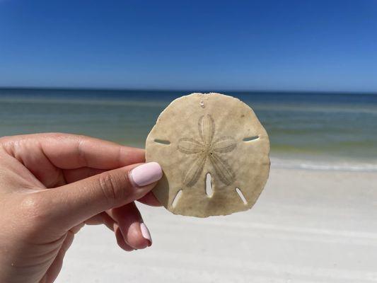 Caladesi Island State Park