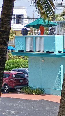 Windjammer Resort & Beach Club