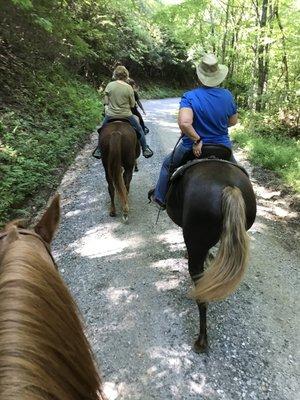 Horseshoe Creek Riding Stables