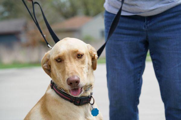 University Heights Pocket Park