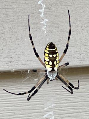 First Choice Pest & Termite