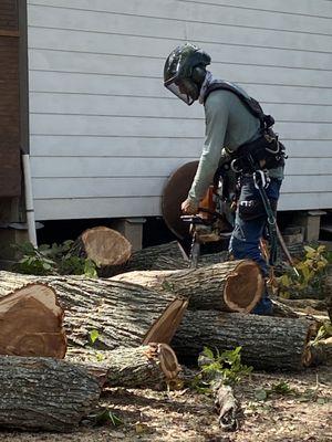 K&J Maple Tree & Outdoor Services