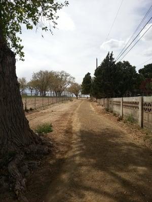 UNM North Golf Course