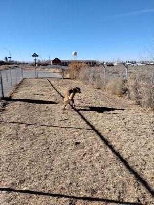 Holbrook Dog Park