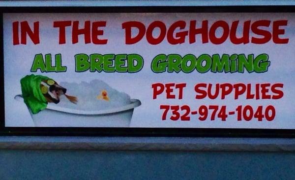 In the Doghouse
