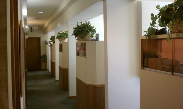 Pacific Dental Group