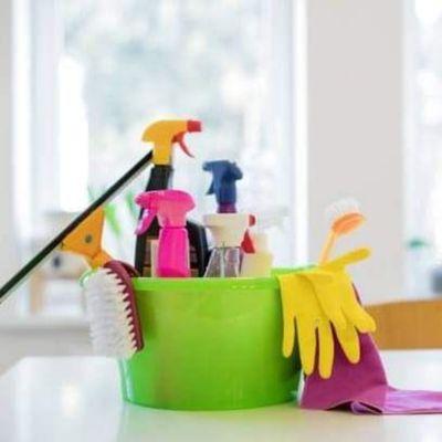 Professional Cleaning Services of Georgia