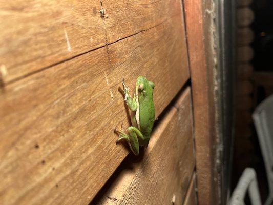 At Ease Campground and Marina