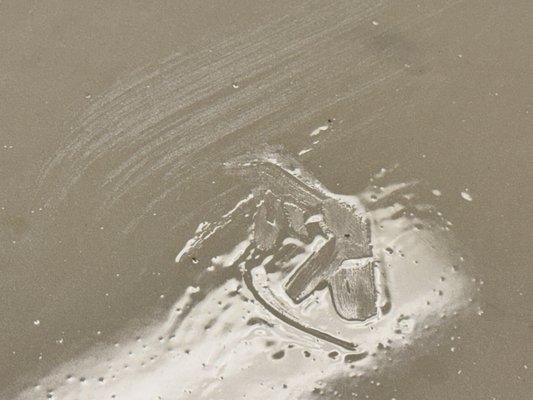 GatorGuard Concrete Coatings